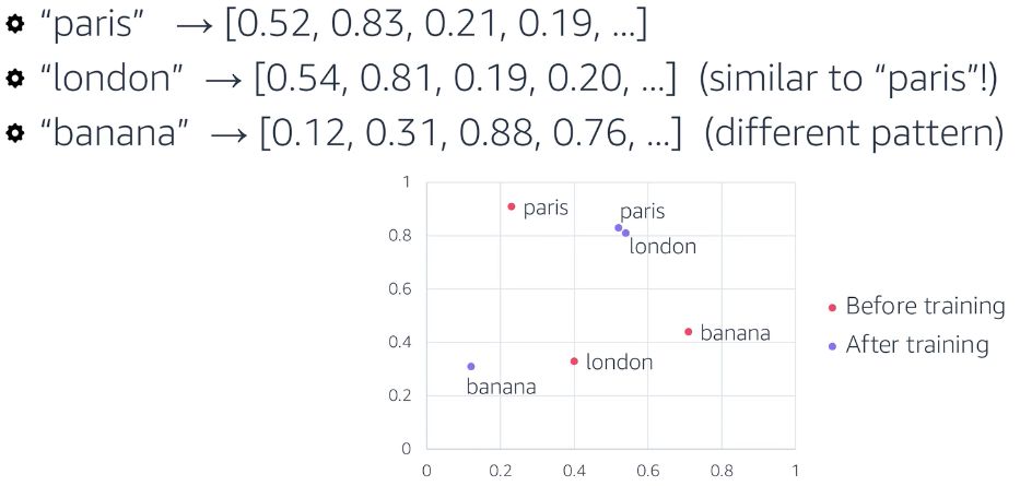 Embeddings and Tokens