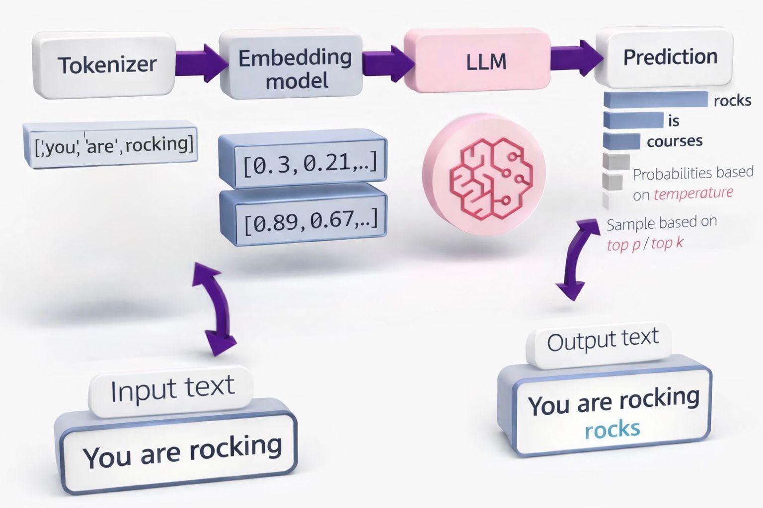 Inference and Prediction