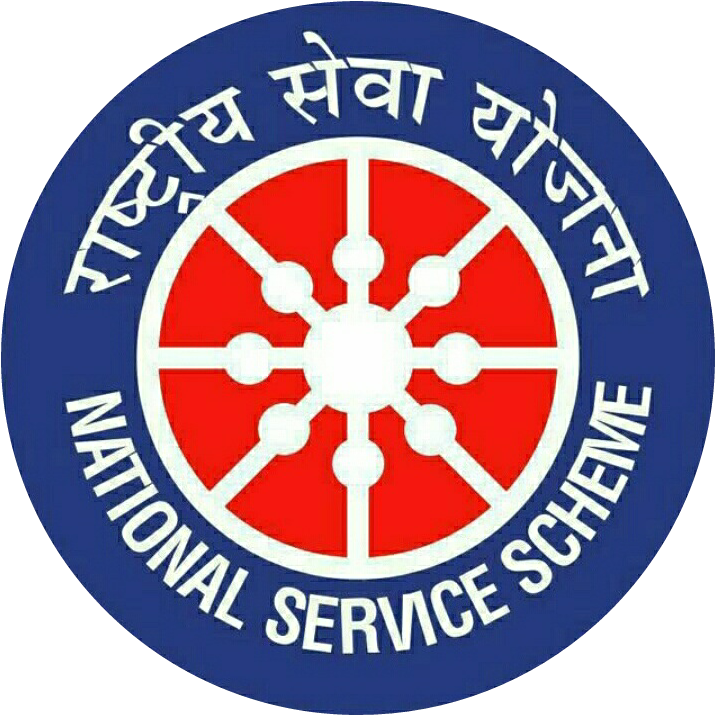 NSS Logo